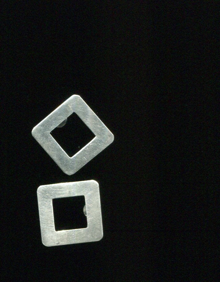 Dusties Earrings