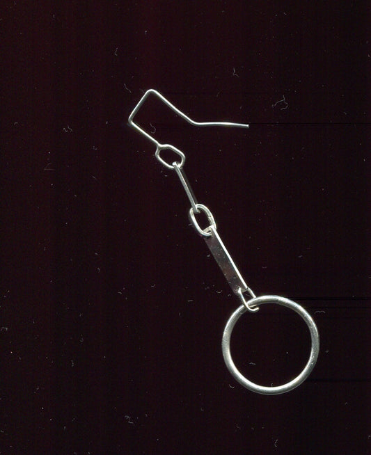 Hendrix Earring